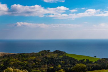 Okyanus Manzaralı tepeler, yeşil bitki örtüsü geçmişi olan ve güzel