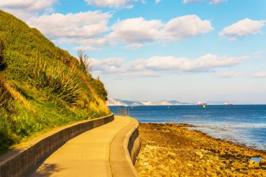 Okyanus manzaralı gezinti, arka plan gemi deniz ve h
