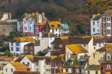 Yeşil yosun kaplı binaların çatıları, sahil spot görülen fr