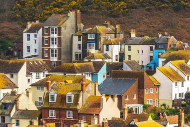 Yeşil yosun kaplı binaların çatıları, sahil spot görülen fr