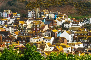 Yeşil yosun kaplı binaların çatıları, sahil spot görülen fr