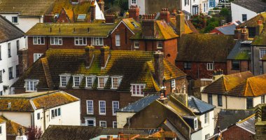 Yeşil yosun kaplı binaların çatıları, sahil spot görülen fr