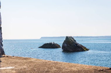 Okyanustan, kuşlar, güzel Rock'da ortaya çıkan iki kayalar 