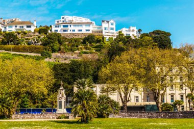 bir kayaya yeşil bitkiler arasında bir uçurum tepe üzerinde bir interes ev sahipliği yapmaktadır.