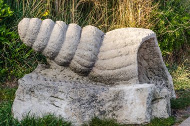 Sahil mesire duvarında büyük beton kabuk sahil