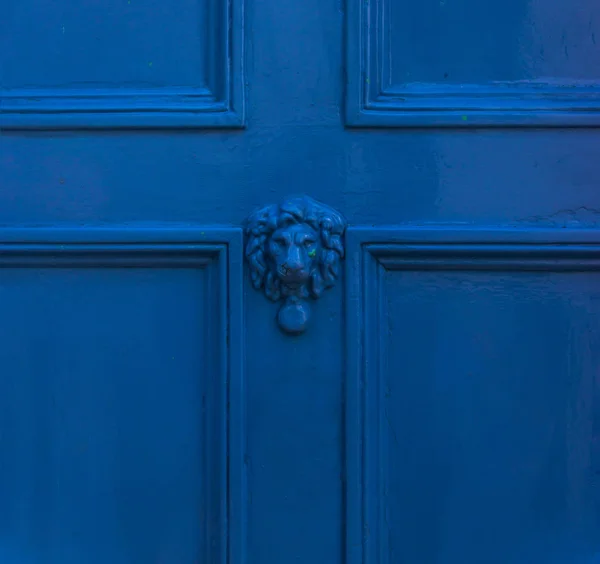 Deur met messing knocker in de vorm van een leeuw is hoofd, mooi — Stockfoto