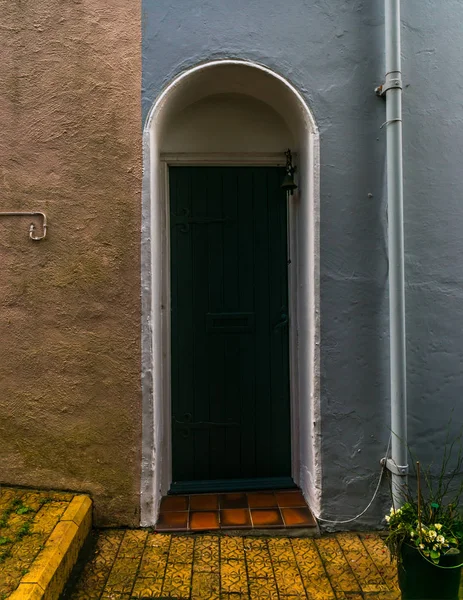 Entrada para um edifício residencial, porta verde, planta em vaso e — Fotografia de Stock