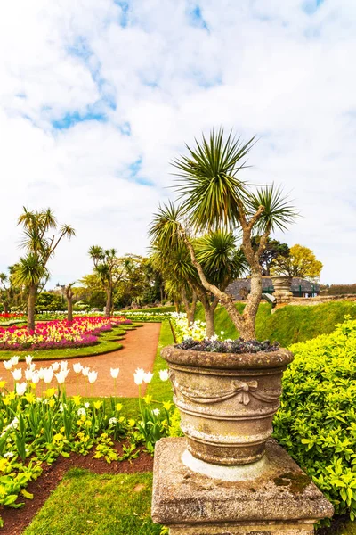 Stadtpark mit exotischen Bäumen und vielen farbigen Blumen, ein wunderbarer — Stockfoto
