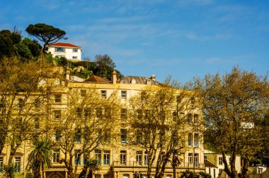 bir kayaya yeşil bitkiler arasında bir uçurum tepe üzerinde bir interes ev sahipliği yapmaktadır.