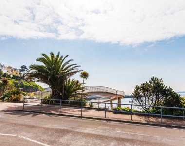 VI güzel egzotik palmiye ağacı Promenade, renkli çiçekler