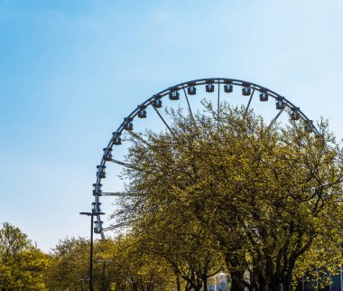 Büyük tekerlek sahil köyünde arka plan yeşil bitkiler