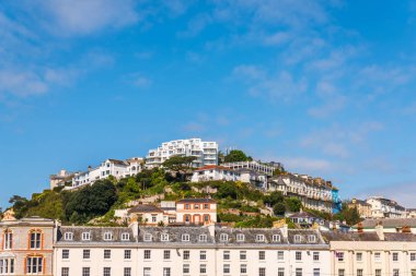 bir kayaya yeşil bitkiler arasında bir uçurum tepe üzerinde bir interes ev sahipliği yapmaktadır.