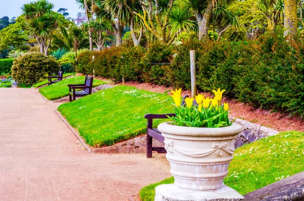 Allee im Stadtpark, bunte Blumen, exotische Pflanzen, Ruhe — Stockfoto