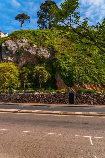 Bella palma esotica contro la parete rocciosa, colorato flowe — Foto Stock