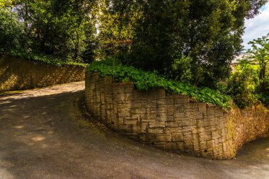 Dar yol önde gelen yoğun yeşil çalılar, kır çiçekleri, sulu gr