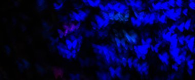 Ufuk bokeh ışıkları, gece ışıkları bokeh kelebek Şekil Bulanıklığı