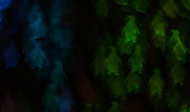 Gece ışıkları bokeh penguen şekli, ufuk bokeh ışıklar, blurre