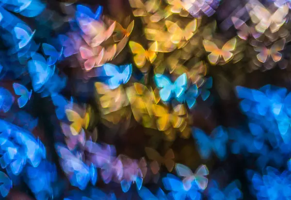 Night lights bokeh butterfly shape, defocused bokeh lights, blur — Stock Photo, Image