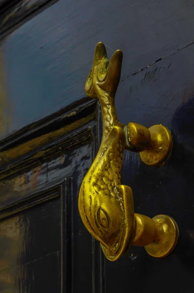 Messing vis knocker, knocker op zwarte houten deur, decoratieve ele — Stockfoto