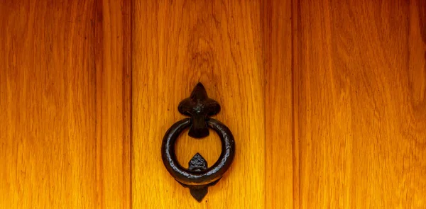 Door with brass knocker in the shape of a hand, beautiful entran — Stock Photo, Image