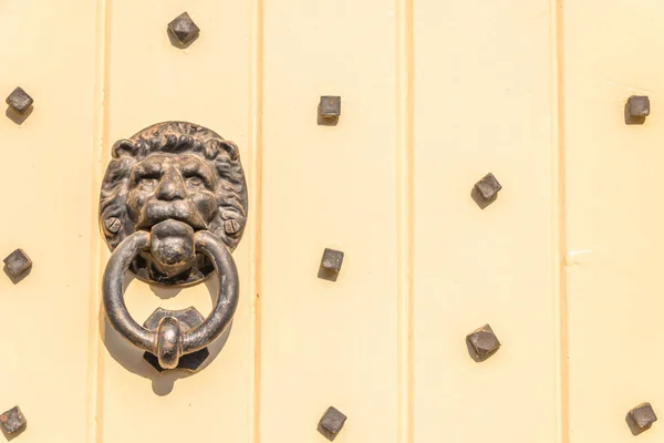 Porta con battente in ottone a forma di testa di leone, bella — Foto Stock