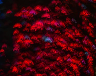 Farklı renkli yunus, soyut ba ile güzel arka plan