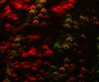 Farklı renkli yunus, soyut ba ile güzel arka plan