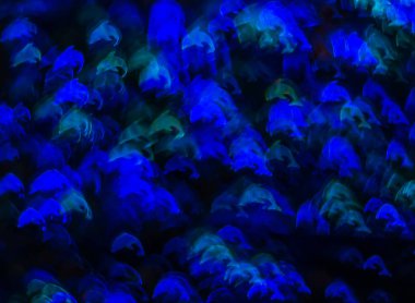 Farklı renkli yunus, soyut ba ile güzel arka plan