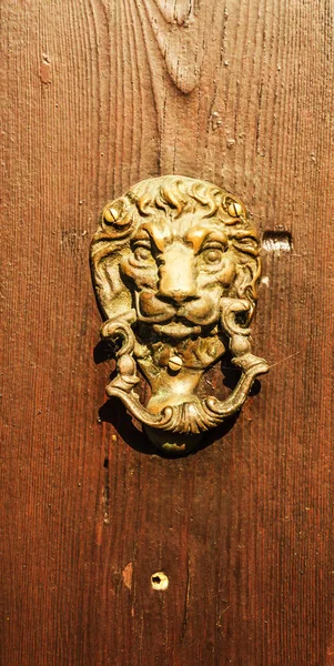 ライオンの形をした真鍮製ドアノッカーとドアの頭部、美しい — ストック写真