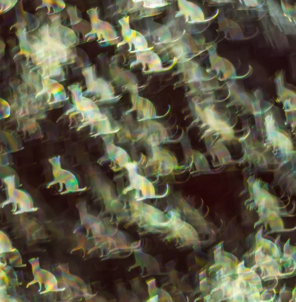 Farklı renkli kedi, soyut backg ile güzel arka plan