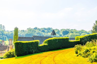 Taze bitki örtüsü, kesilmiş yeşil park park walkin, bakımlı