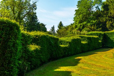 Taze bitki örtüsü, kesilmiş yeşil park park walkin, bakımlı