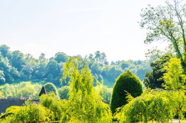 Taze bitki örtüsü, kesilmiş yeşil park park walkin, bakımlı