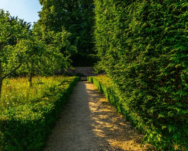 Frissen vágott növényzet, zöld park ápolt park, walkin — Stock Fotó