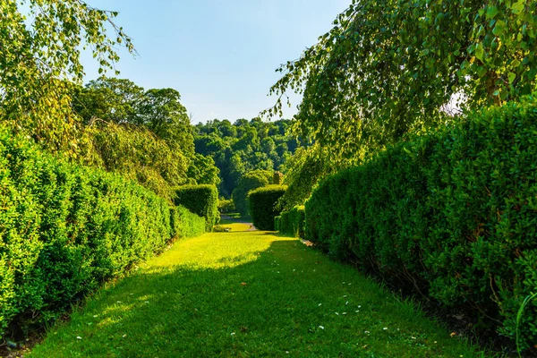 Taze bitki örtüsü, kesilmiş yeşil park park walkin, bakımlı
