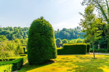 Taze bitki örtüsü, kesilmiş yeşil park park walkin, bakımlı
