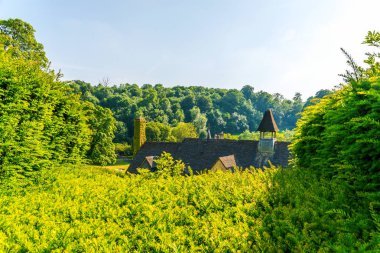 Taze bitki örtüsü, kesilmiş yeşil park park walkin, bakımlı