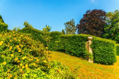 Taze bitki örtüsü, kesilmiş yeşil park park walkin, bakımlı
