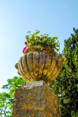 Antiqu beton bir kaide üzerinde Bahçe saksı stilize