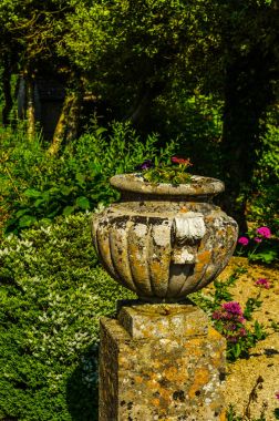 Antiqu beton bir kaide üzerinde Bahçe saksı stilize