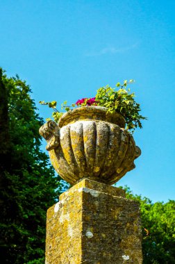 Antiqu beton bir kaide üzerinde Bahçe saksı stilize