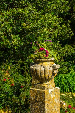 Antiqu beton bir kaide üzerinde Bahçe saksı stilize