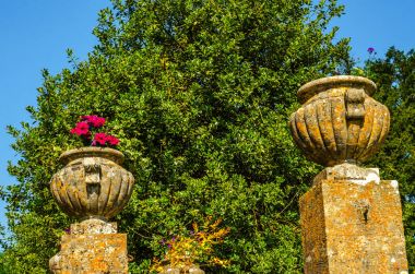 Antiqu beton bir kaide üzerinde Bahçe saksı stilize