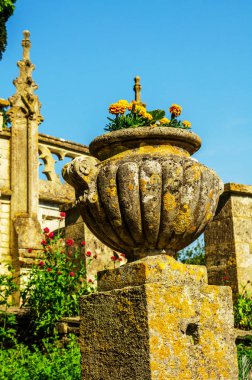 Antiqu beton bir kaide üzerinde Bahçe saksı stilize