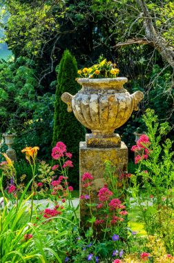 Antiqu beton bir kaide üzerinde Bahçe saksı stilize