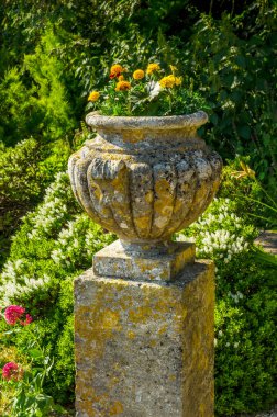 Antiqu beton bir kaide üzerinde Bahçe saksı stilize