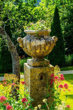 Antiqu beton bir kaide üzerinde Bahçe saksı stilize