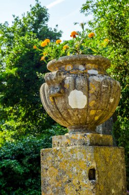 Antiqu beton bir kaide üzerinde Bahçe saksı stilize