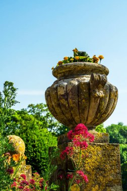 Antiqu beton bir kaide üzerinde Bahçe saksı stilize