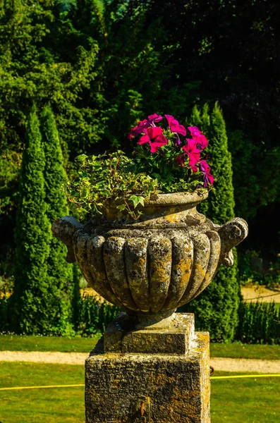 Pots de fleurs en béton dans le jardin sur un piédestal stylisé antiqu — Photo